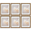 11x14 Floating Frame (6 Pcs Per Box)