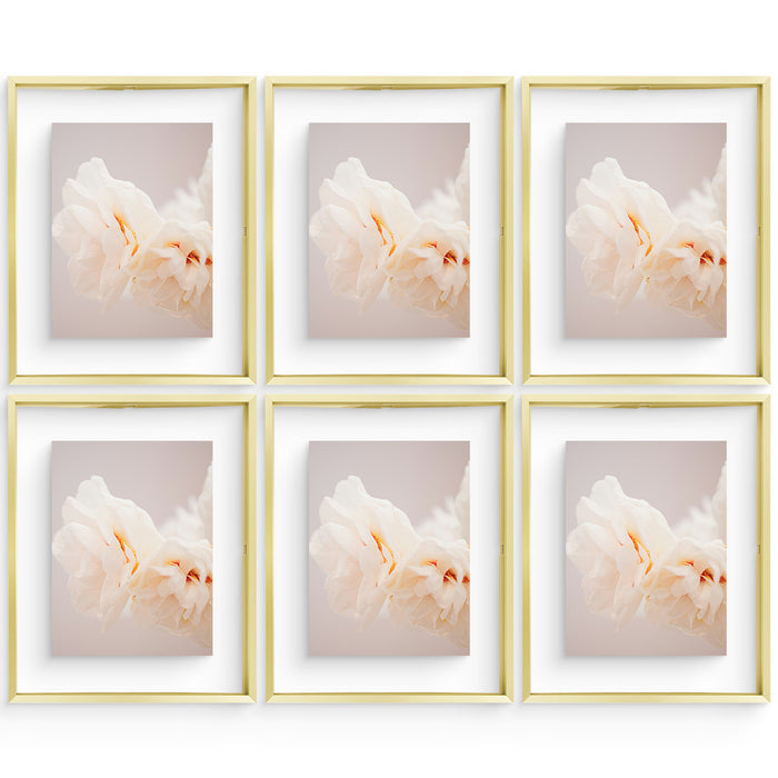 11x14 Floating Frame For Any Size Photo up to 11 by 14 (6 Pcs Per Box) Gold