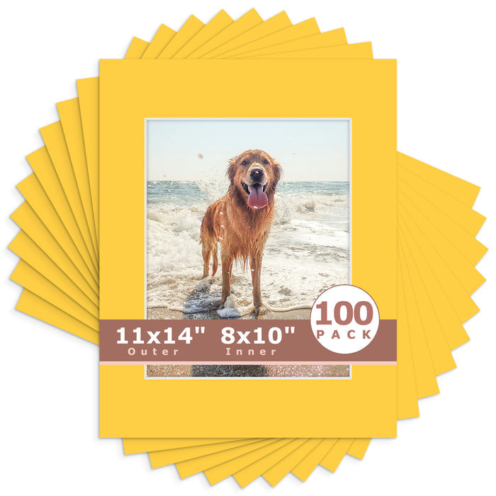 8x10 (7.5x9.5 exact opening) / N212 Deep Yellow