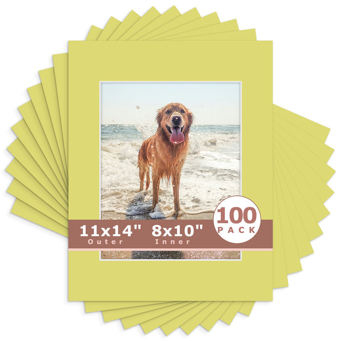 8x10 (7.5x9.5 exact opening) / N127 Frolic