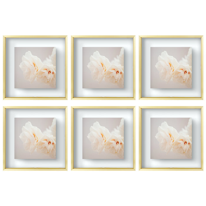 12x12 Floating Frame Displays Any Size Photo up to 12 by 12 (6 Pcs Per Box) Gold