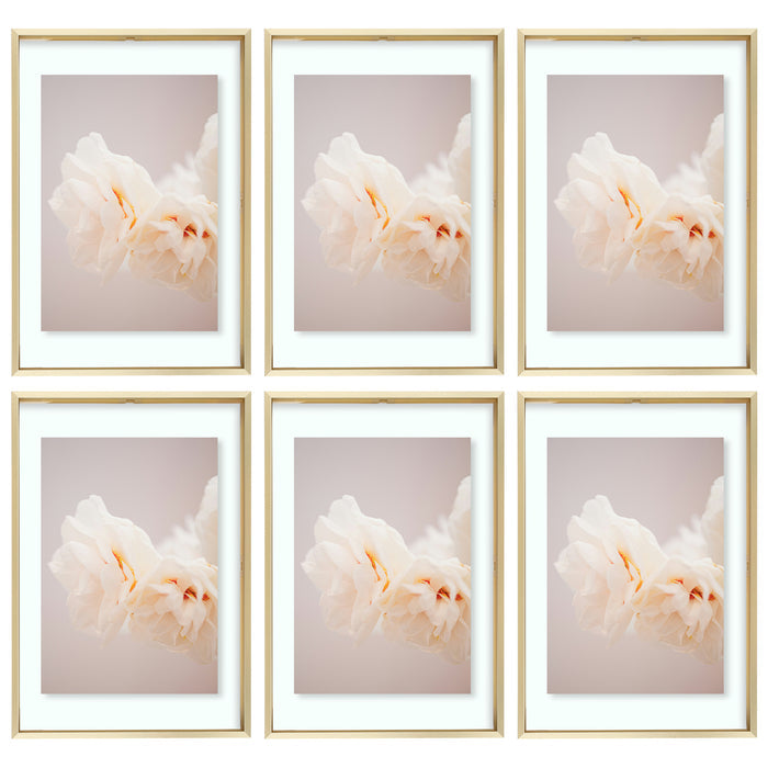 12x18 Floating Frame Displays Any Size Photo up to 12 by 18 (6 Pcs Per Box) Gold