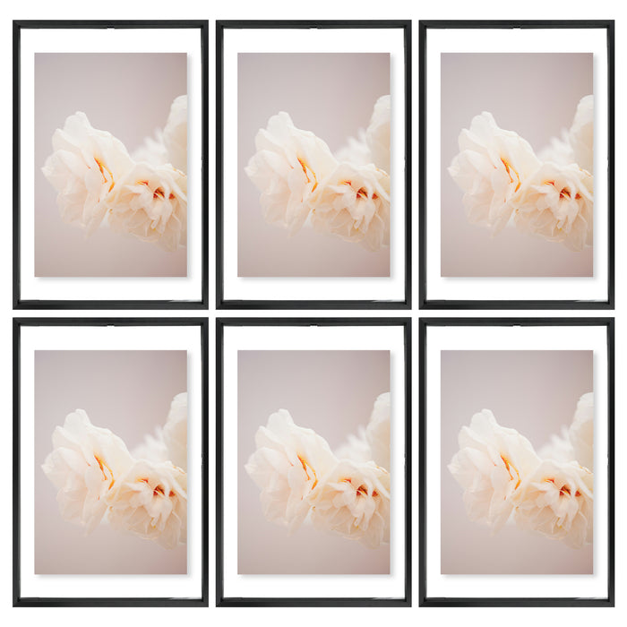 12x18 Floating Frame Displays Any Size Photo up to 12 by 18 (6 Pcs Per Box) Black