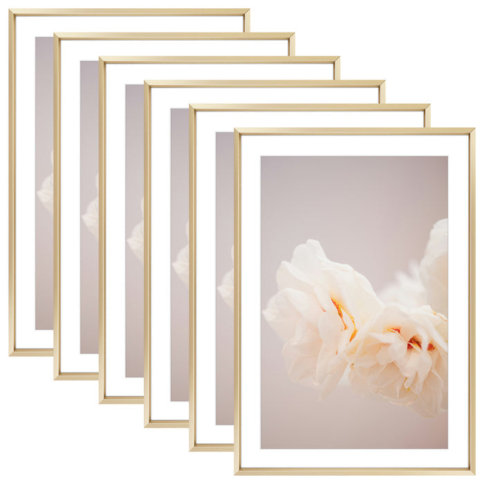 13x19 Poster Frame for 11x17 Pictures with White Mat (6 Pcs Per Box) Gold
