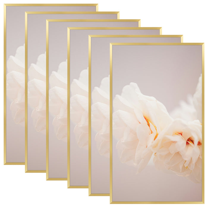 14x24 Poster Frame with Plexiglass (6 Pcs Per Box) Gold