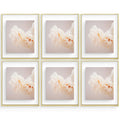 16x20 Floating Frame For Any Size Photo Up to 16 by 20 (6 Pcs Per Box) Gold