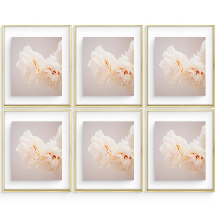 16x20 Floating Frame For Any Size Photo Up to 16 by 20 (6 Pcs Per Box) Gold
