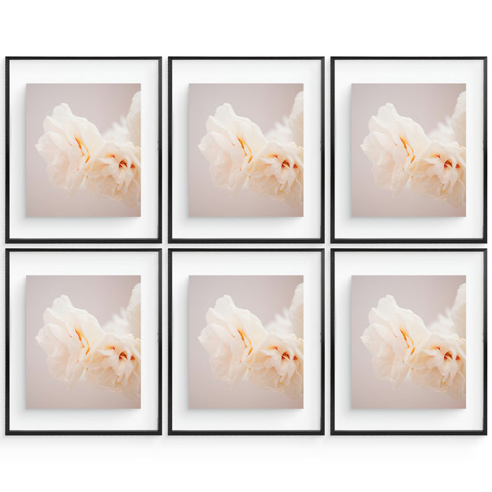 16x20 Floating Frame For Any Size Photo Up to 16 by 20 (6 Pcs Per Box) Black