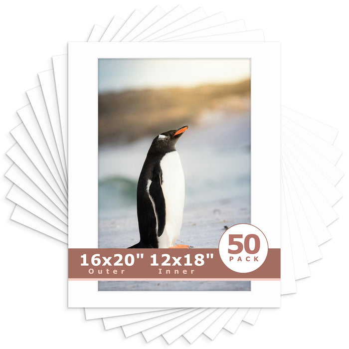12x18 (exact opening 11.5x17.5) / N501 White