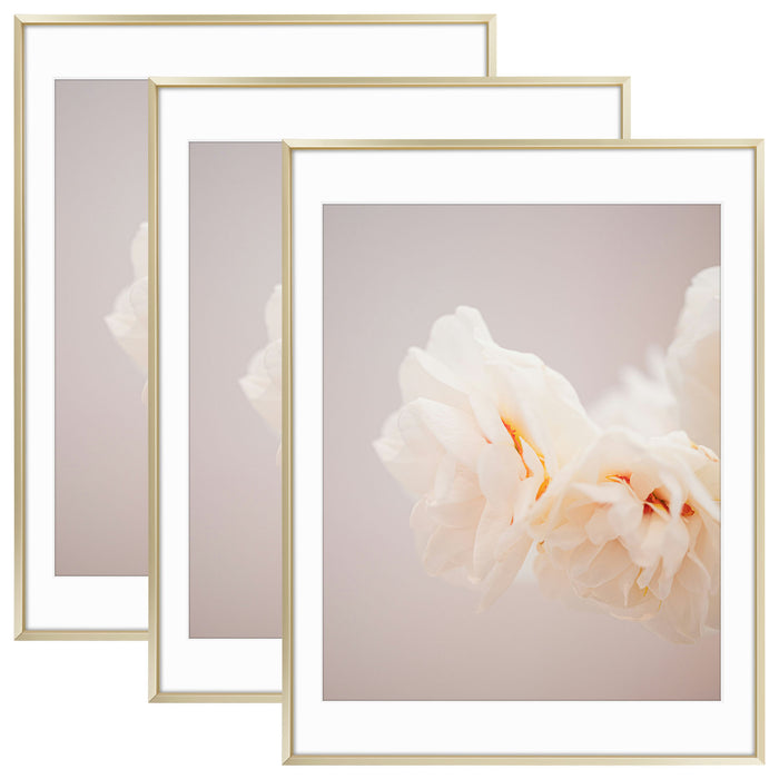 18x24 Poster Frame with White Mat for 16x20 Picture (3 Pcs Per Box) Gold