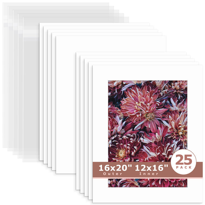 12x16 (exact opening 11.5x15.5) / N501 White