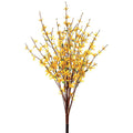 34" Forsythia Bush - Yellow