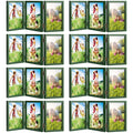 4x6 Three Picture Frame (8 Pcs Per Box) Green
