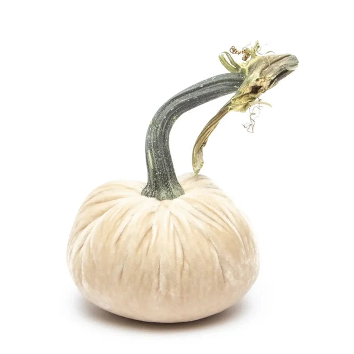 5" Velvet Pumpkin