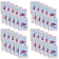 5x7 Picture Frames Pink (40 Pcs Per Box)