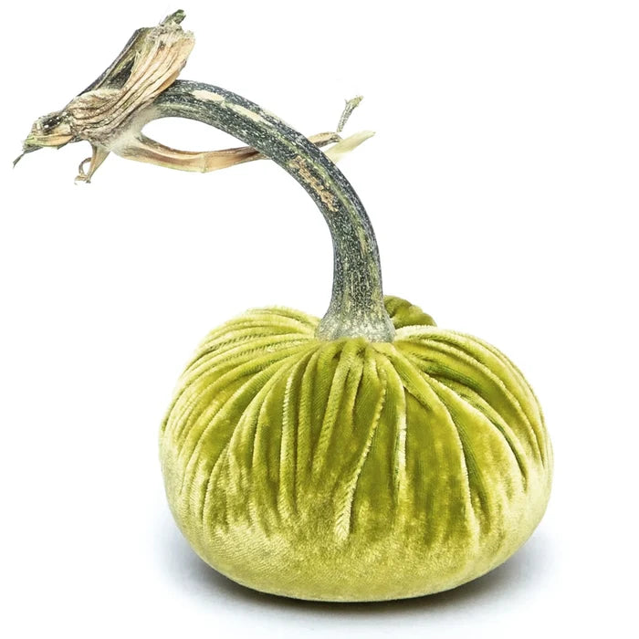 6" Velvet Pumpkin