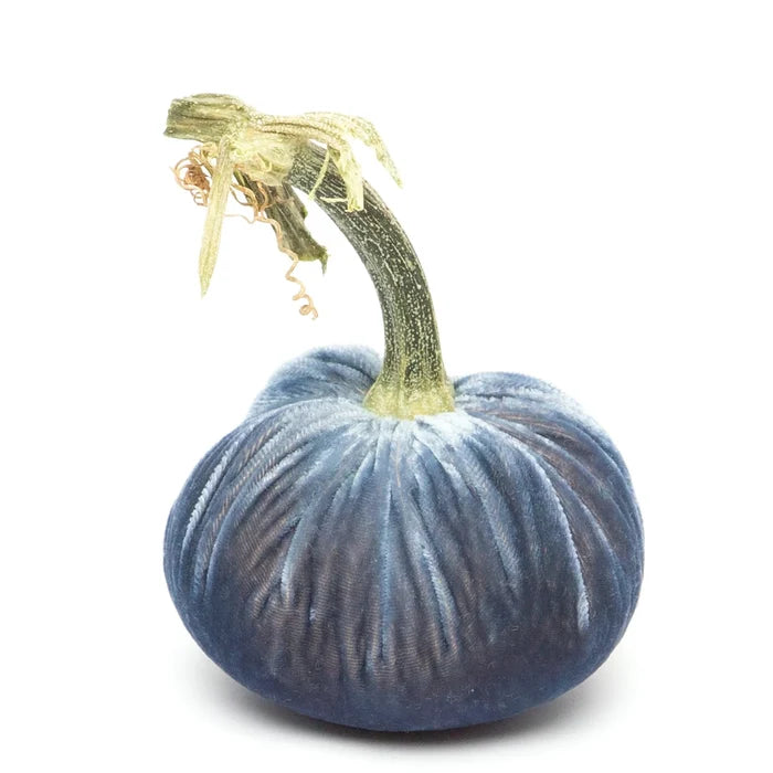 6" Velvet Pumpkin