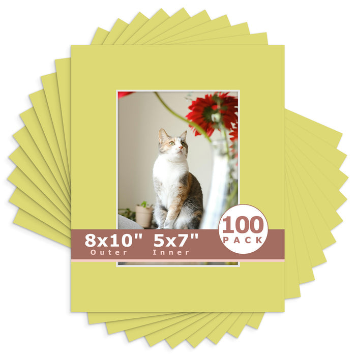 5x7 (4.5x6.5 exact opening) / N127 Frolic