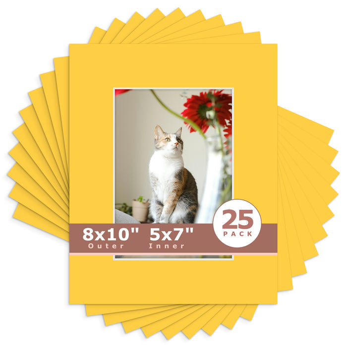 5x7 (4.5x6.5 exact opening) / N212 Deep Yellow