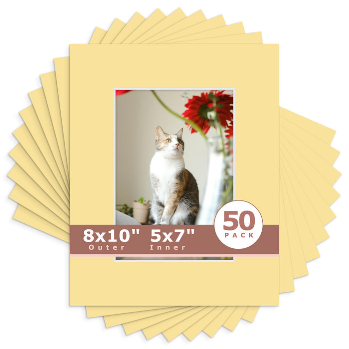 5x7 (4.5x6.5 exact opening) / N157 Compatible Beige