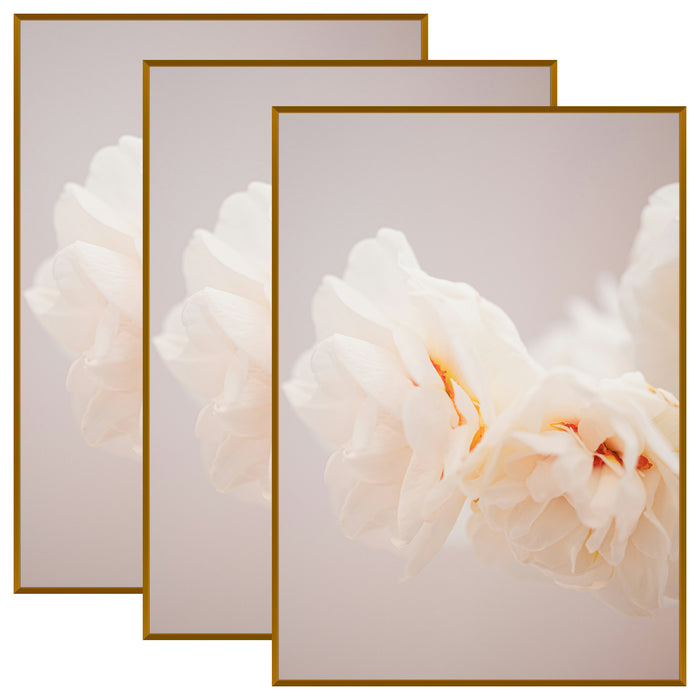 A1 Metal Picture Frame for 23.4x33.1 Picture with Plexiglass(3 Pcs Per Box) Bronze