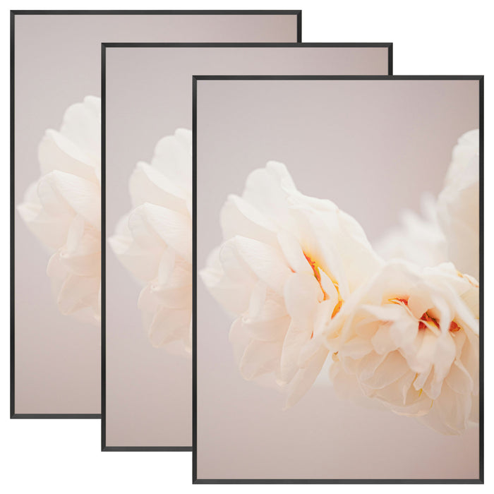 A1 Metal Picture Frame for 23.4x33.1 Picture with Plexiglass(3 Pcs Per Box) Black