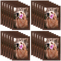A4 Brown Picture Frame with Plexiglass (24 Pcs Per Box)