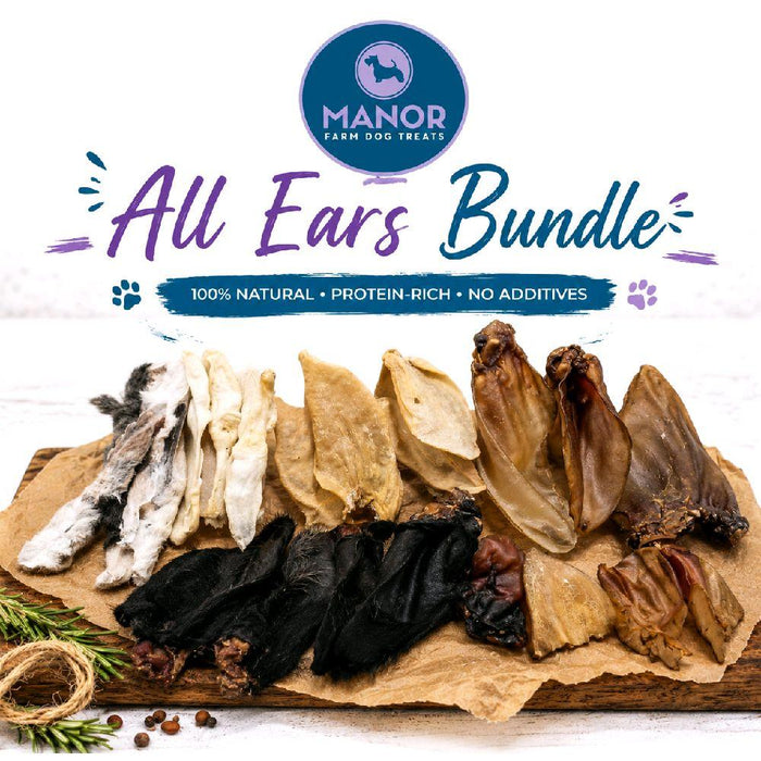All Ears Bundle