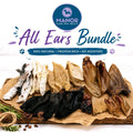 All Ears Bundle