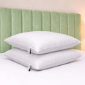 bianca-fine-linens-anti-allergy-cotton-pillow-pair-white