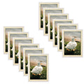 BOGO Pack of 12, 5x7 White/Beige Picture Frame with Real Glass