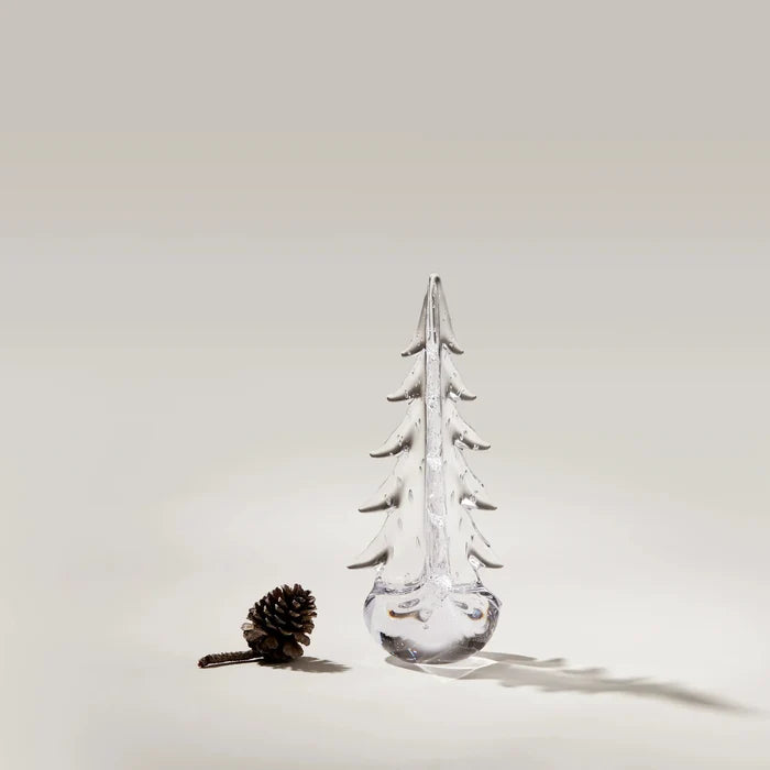 Bubble Evergreen