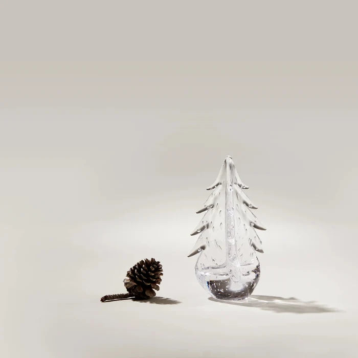 Bubble Evergreen