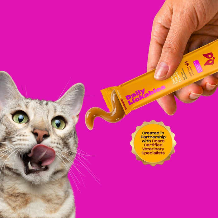 Cat licking its lips next to a Daily Lickables product on a pink background