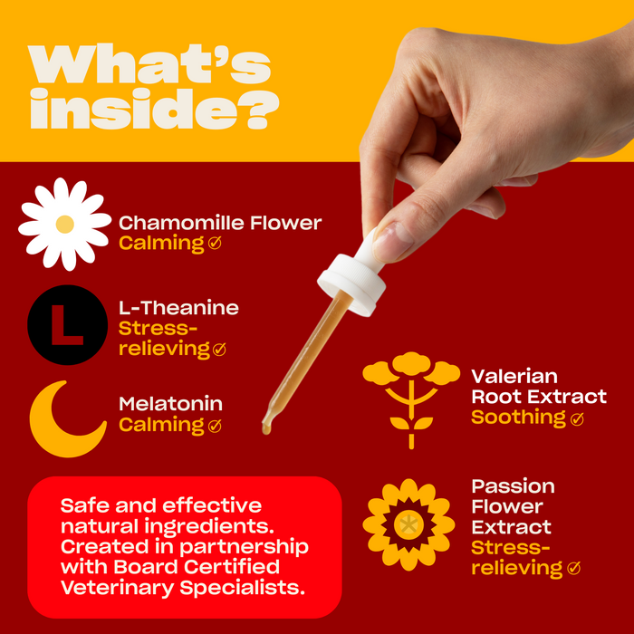 Infographic titled 'What's inside?' showing calming ingredients—chamomile flower, L‑theanine, melatonin, valerian root extract, passionflower extract—and a vet‑partnered safety note