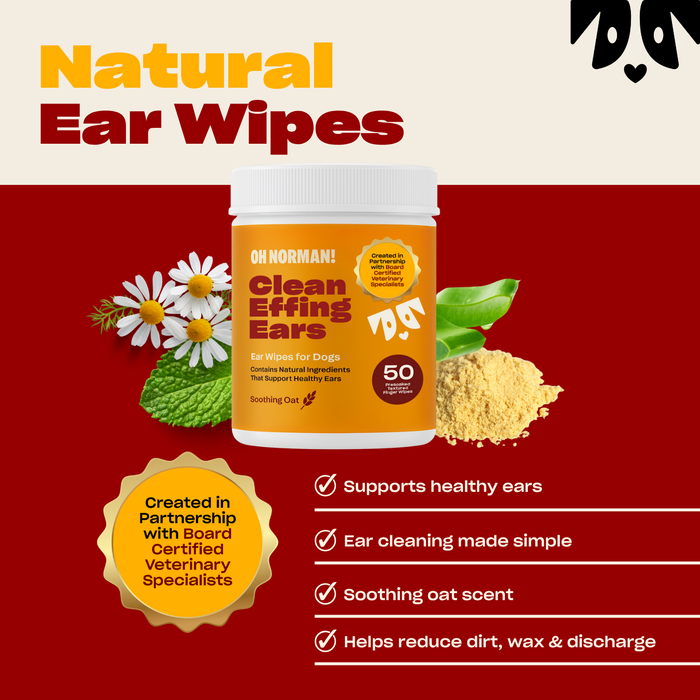 Front of Clean Effing Ears jar showing label, 50-count badge, vet partnership seal, chamomile and oat artwork on red background