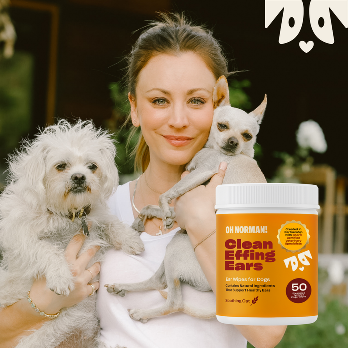 Actress Kaley Cuoco holding two small dogs and a jar labeled "Clean Effing Ears", a pet ear‑cleaning product.