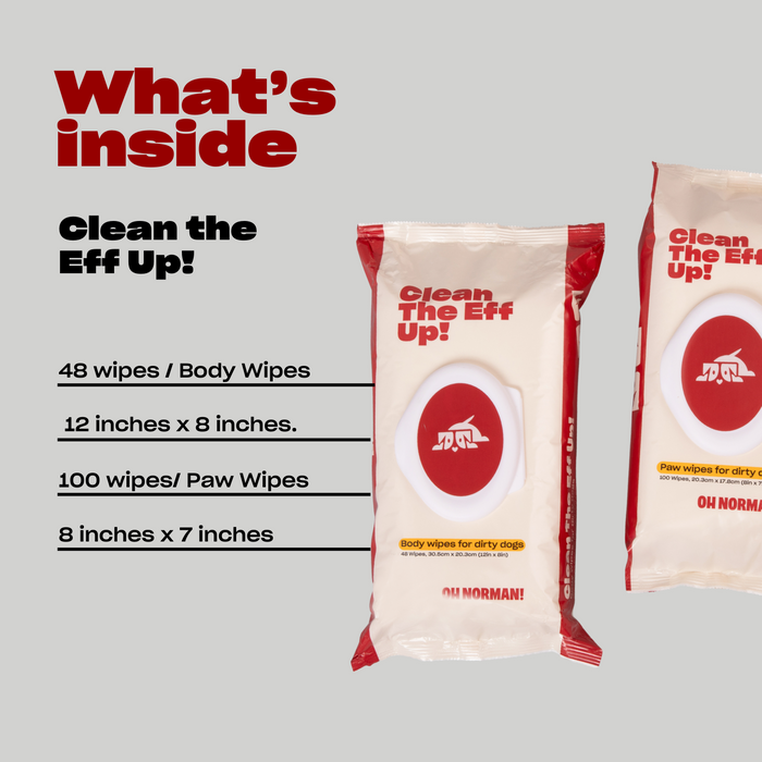 Two packages of Clean The Eff Up! body wipes for dirty dogs, showing text: "Clean The Eff Up!", "Body wipes for dirty dogs", "48 wipes, 30.5cm x 20.3cm (12in x 8in)", and "OH NORMAN!"