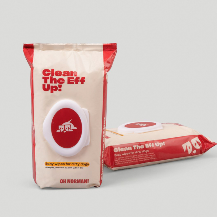 Front and angled view of Clean The Eff Up! 48-count dog wipes pack with red flip-top dispenser on light gray background