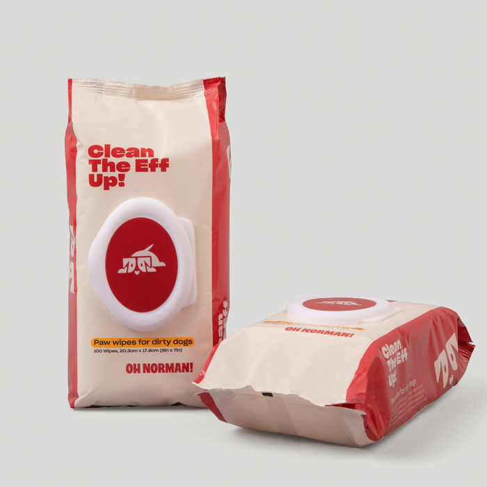 Front and side view of Clean The Eff Up! paw wipes pack with white flip-top dispenser and 100 wipes on light gray background