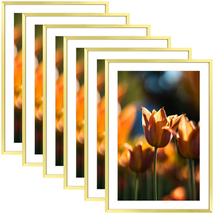 Clearance 13x19 Picture Frame For 11x17 Photo With White Mat and Plexiglass (6 Pcs per Box) Gold