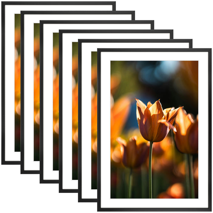 Clearance 13x19 Picture Frame For 11x17 Photo With White Mat and Plexiglass (6 Pcs per Box) Black
