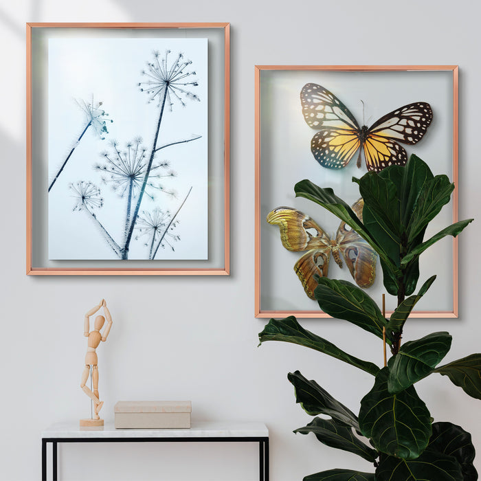 Clearance 16x20 Floating Frame For Any Size Photo Up to 16 by 20 Rose Gold (6 Pcs Per Box)