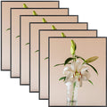 Clearance 20x24 Aluminum Picture Frame with Plexiglass (6 Pcs Per Box)