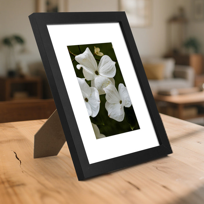 Clearance 8x10 Black Picture Frame for 5x7 Photo (18 Pcs Per Box)