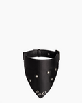 Dog Collar, Nylon, Eyelets