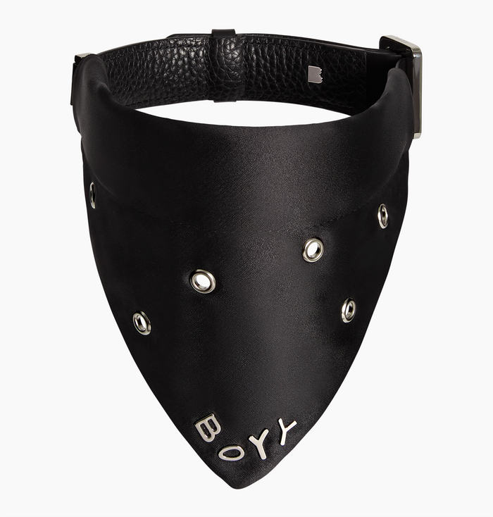 Dog Collar, Nylon, Eyelets
