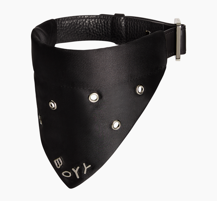 Dog Collar, Nylon, Eyelets
