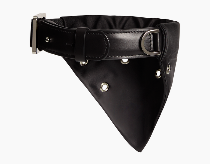 Dog Collar, Nylon, Eyelets