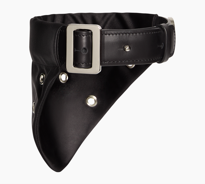 Dog Collar, Nylon, Eyelets